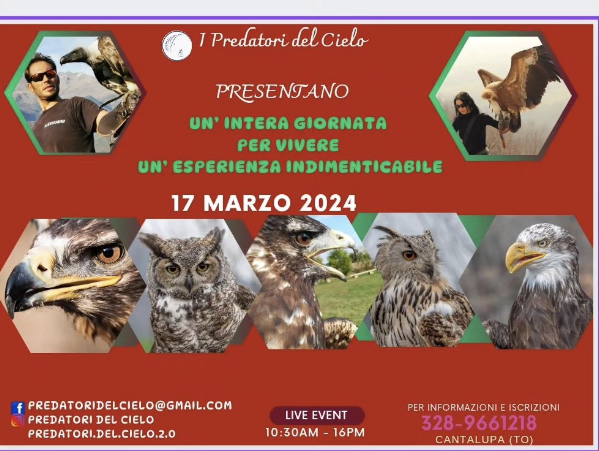 Schermata 2024-05-14 alle 20.13.44 Schermata 2024 05 14 alle 20.13.44 - grafico freelance locandina
