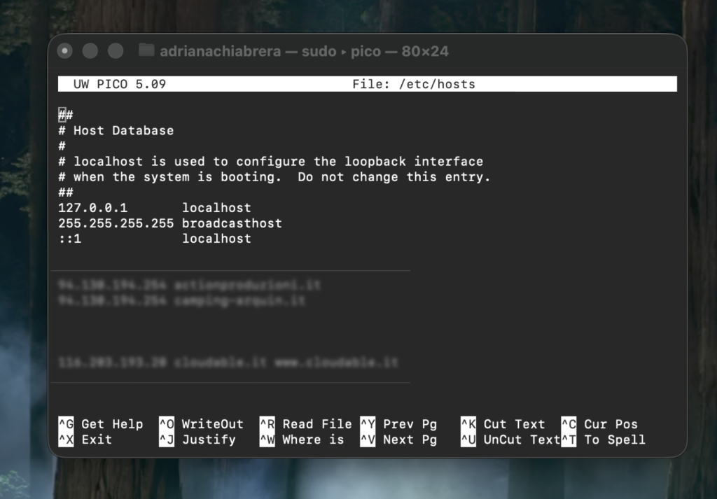 Screenshot 2026 04 01 alle 12.41.24 - file di hosts