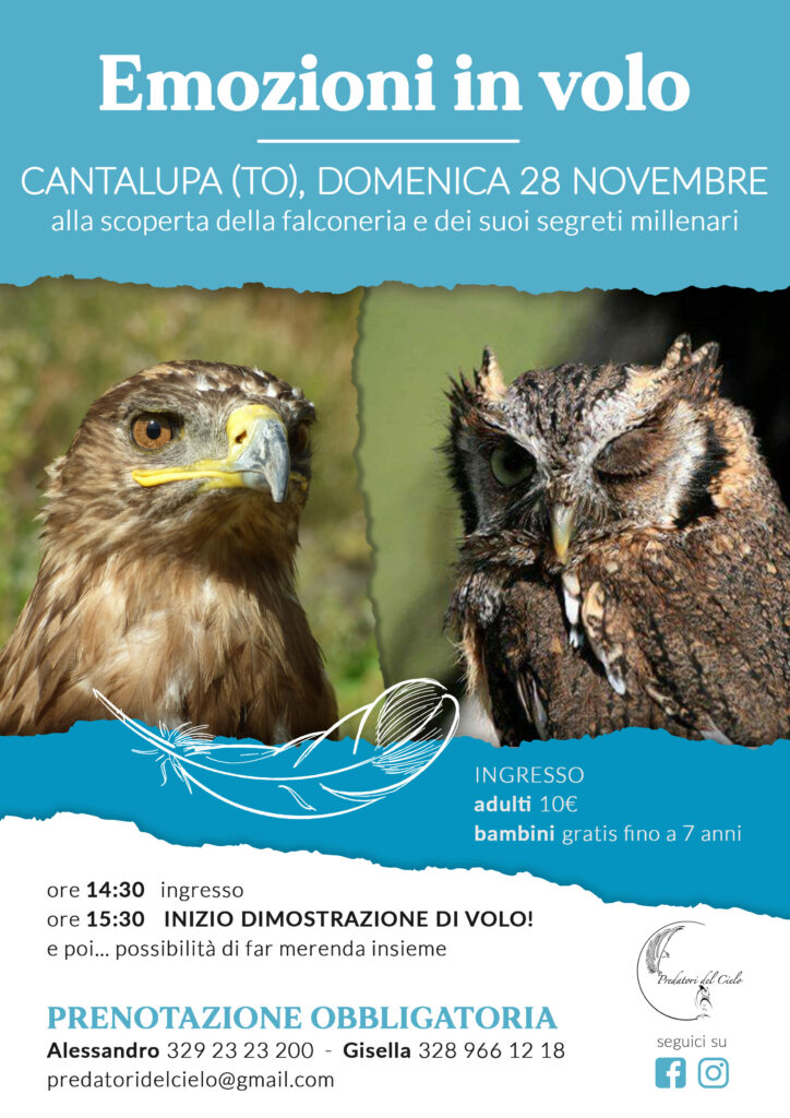 Stampa A4 -