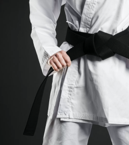adrian chiabrera siti web fesik karate 2 - graphic design