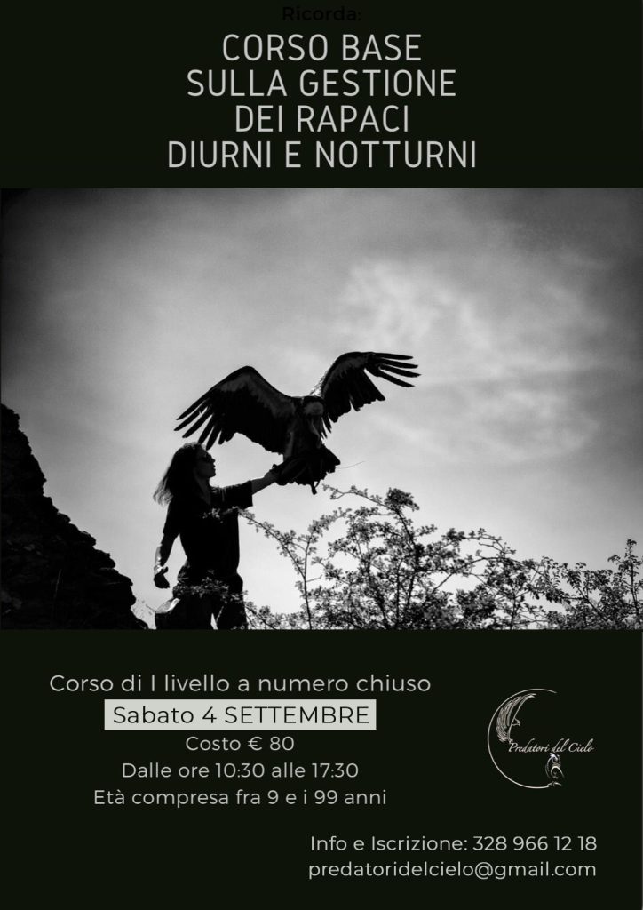 corso-predatori corso predatori - grafico freelance locandina