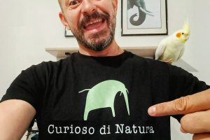 Logo e Grafica davide sita sito web e grafica per freelance - graphic design