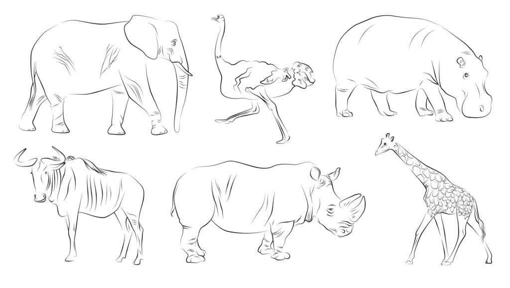 disegni animli savana africana -