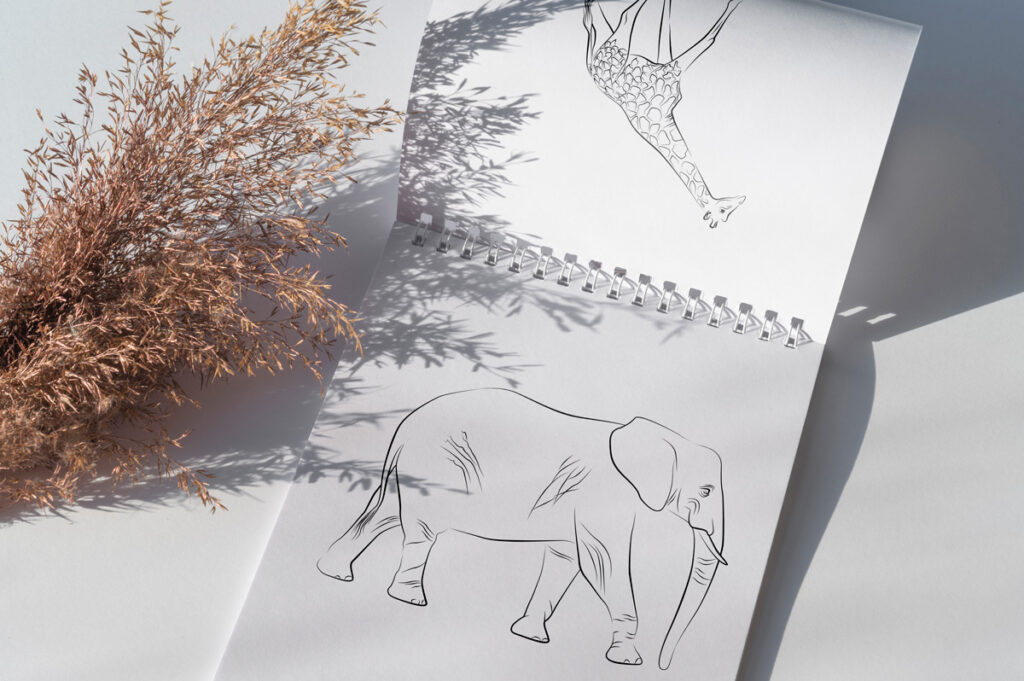 disegno savana elefante - web designer freelance