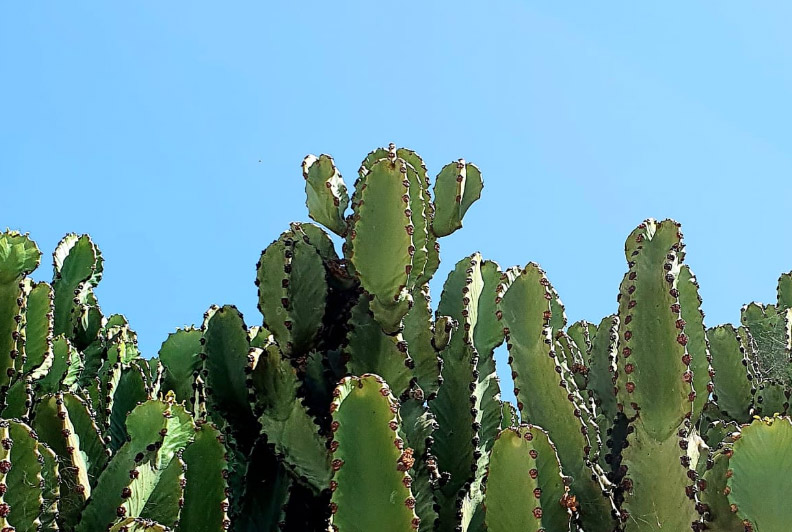 fuerteabrazo immagine - Sito WordPress per B&B