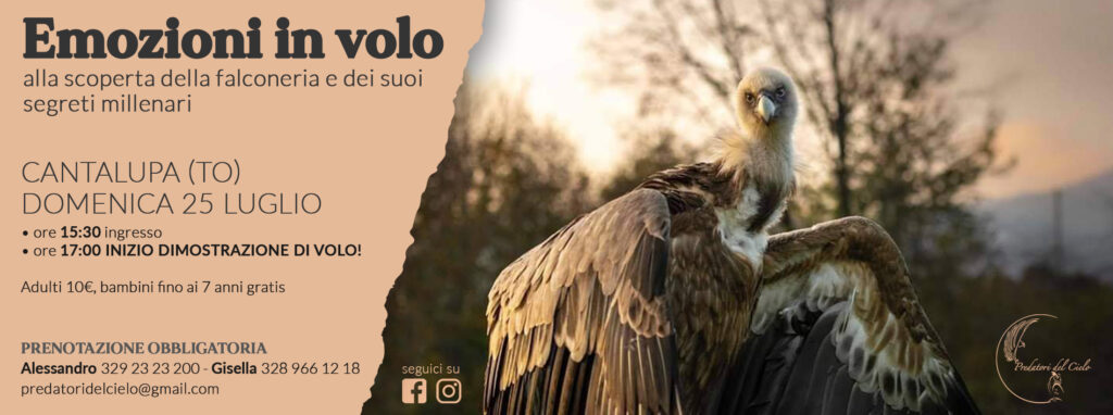luglio copertina facebook -