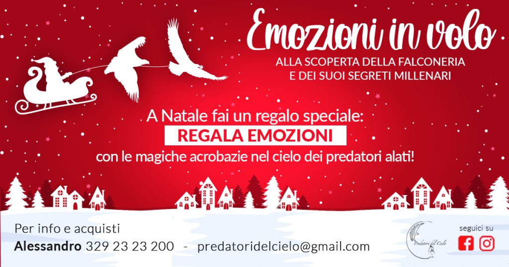 natale-facebook natale facebook - grafico freelance locandina