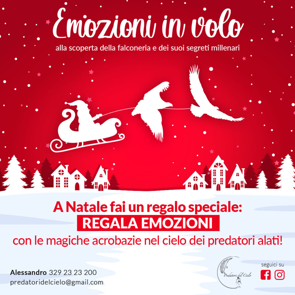 natale instagram - web designer freelance