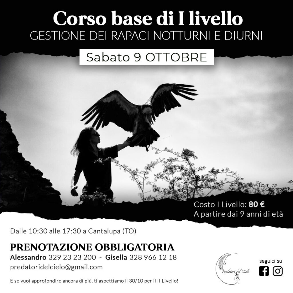ottobre corso 1 Instagram -