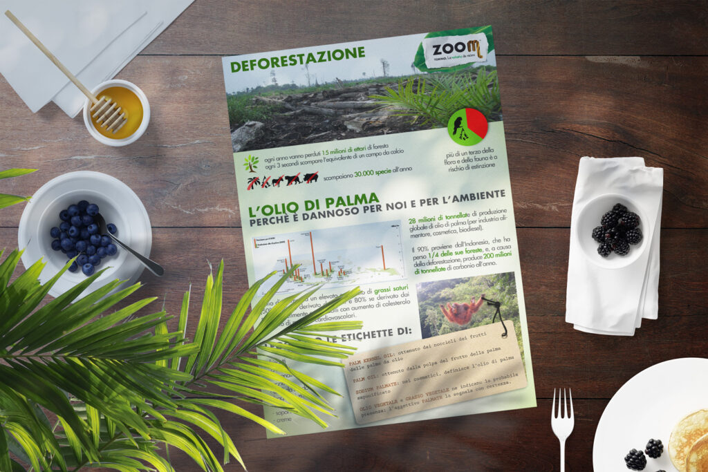 zoom torino olio di palma deforestazione ambiente - web designer freelance