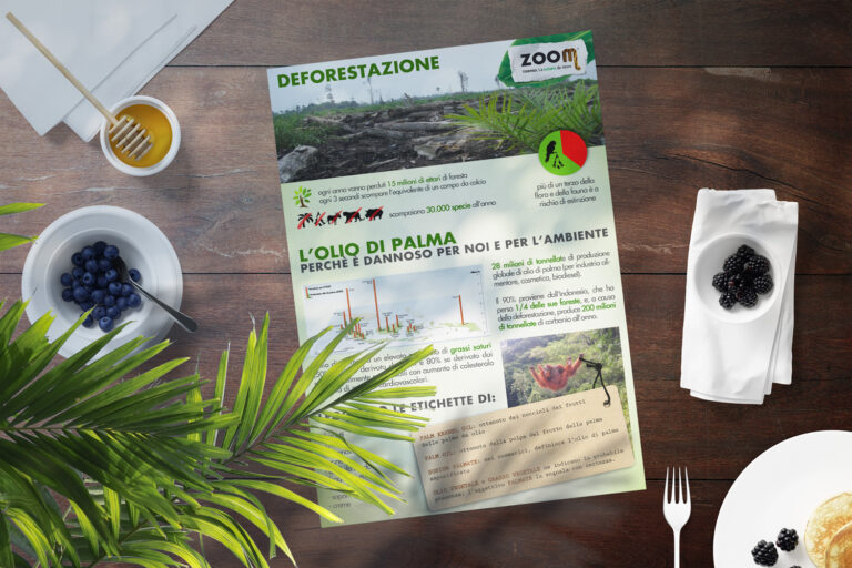 zoom torino olio di palma deforestazione ambiente -