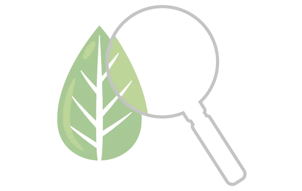 Logo, Grafiche, Sito web per professionista