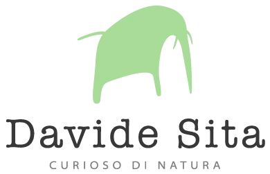 Davide Sita: logo, grafiche e sito web per professionista freelance Logo, Grafiche, Sito web per professionista